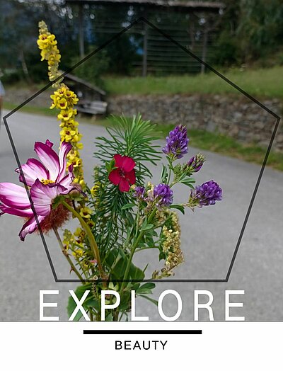 Wanderung der Naturfreunde - Vogelerlebnisweg Thurn