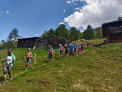Randwanderung der Naturfreunde - HIRSCHBÜHEL-BLINDISALM-ALPE STALLE