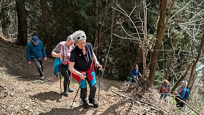 Wanderung der Naturfreunde - Zick Zack Steig