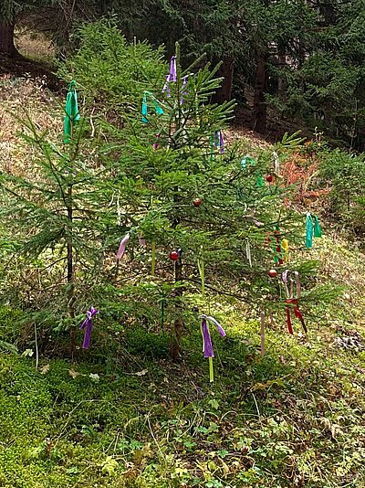 Wanderung der Naturfreunde - Peterskirchl Toblach/Aufkirchen