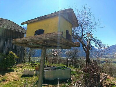 Wanderung der Naturfreunde - Ruine Walchenstein