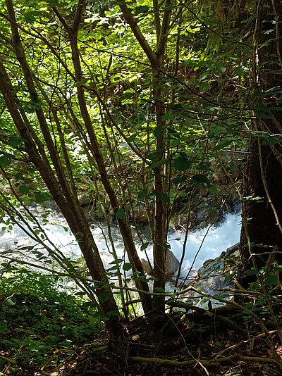 Naturfreunde-Ausflug zur Barbarossaschlucht Mühldorf