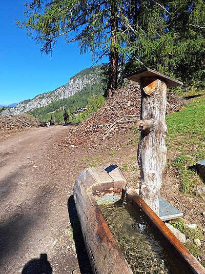 Wanderung der Naturfreunde - Samsteig