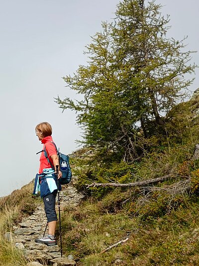 Wanderung der Naturfreunde - Leppner Alm