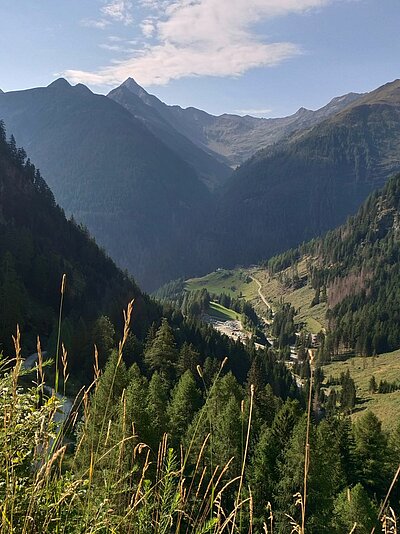 Wanderung der Naturfreunde - Johannishütte