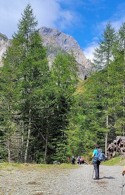 16. Seniorenwanderung der Naturfreunde - Hochweißsteinhaus