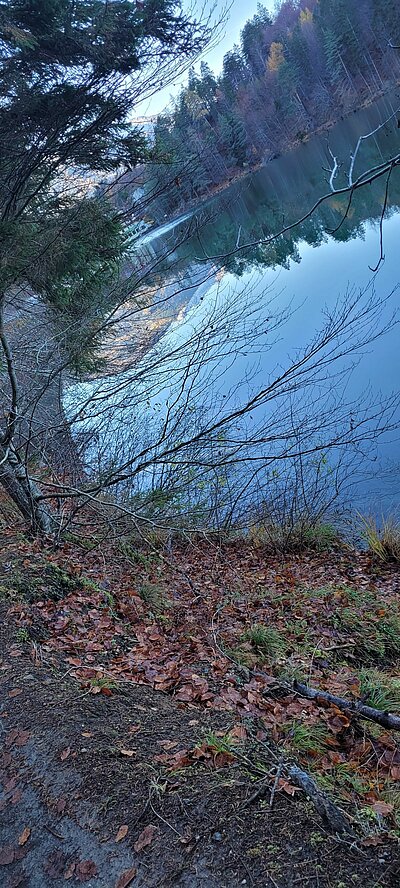 Wanderung der Naturfreunde - Tristachersee und Alter See Runde