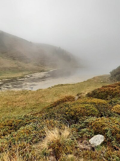 20. Seniorenwanderung der Naturfreunde - Zollnerseehütte