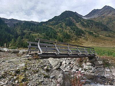 Wanderung der Naturfreunde - Jagdhausalmen und Pfauenauge