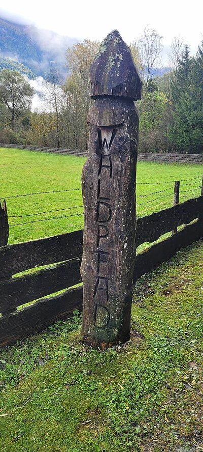 Wanderung der Naturfreunde - Lavant Waldpfad + Kirchen