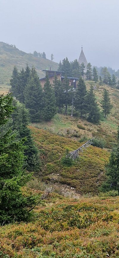 20. Seniorenwanderung der Naturfreunde - Zollnerseehütte