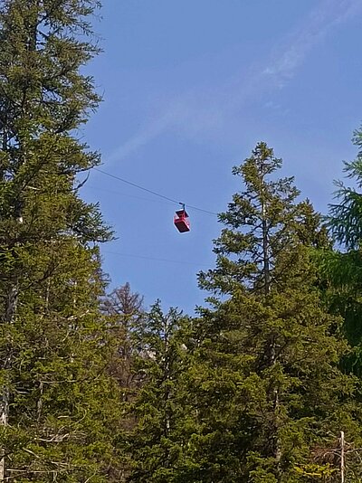 Wanderung der Naturfreunde - Rauchkofel