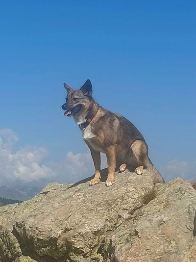 Wanderung der Naturfreunde - Zollnerseehütte