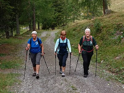 Wanderung der Naturfreunde - Leppner Alm