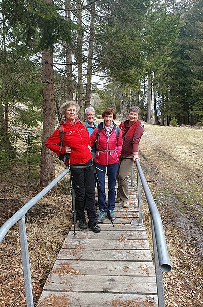 Frühlingswanderung der Naturfreunde am Iselsberg