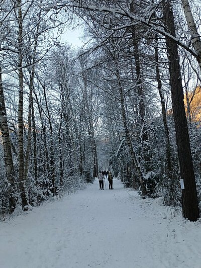 Krippenweg St. Johann i.W