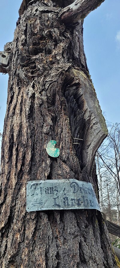 Frühlingswanderung der Naturfreunde am Iselsberg