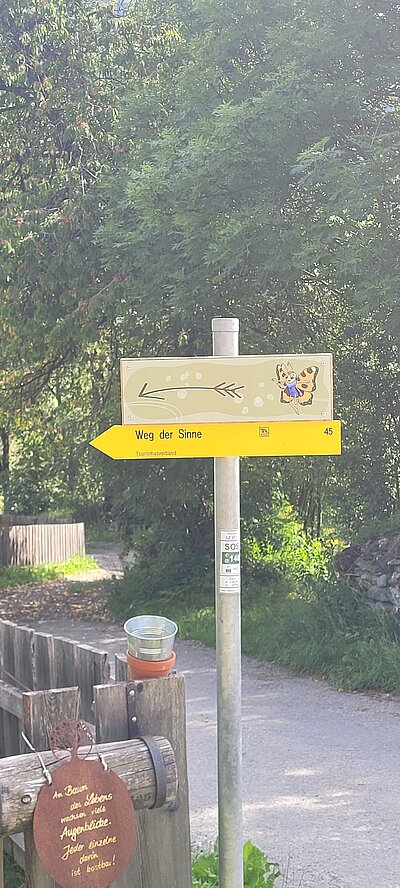 Wanderung der Naturfreunde - Weg der Sinne Virgen