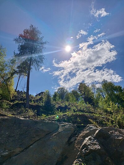 Wanderung der Naturfreunde - Speicherteich Moosalm