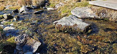 Wanderung der Naturfreunde - Winklerner Almsee
