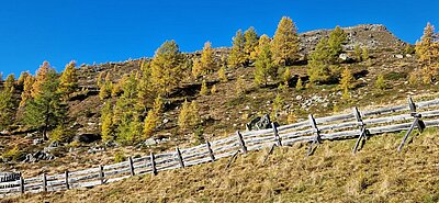 Wanderung der Naturfreunde - Winklerner Almsee