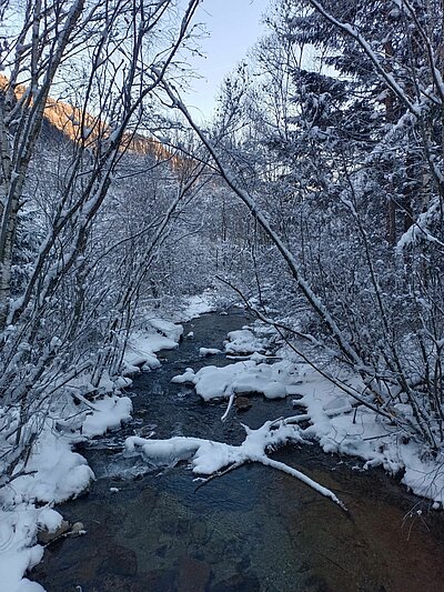 Krippenweg St. Johann i.W