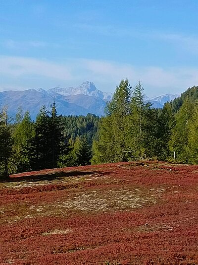 Wanderung der Naturfreunde - Hochstein