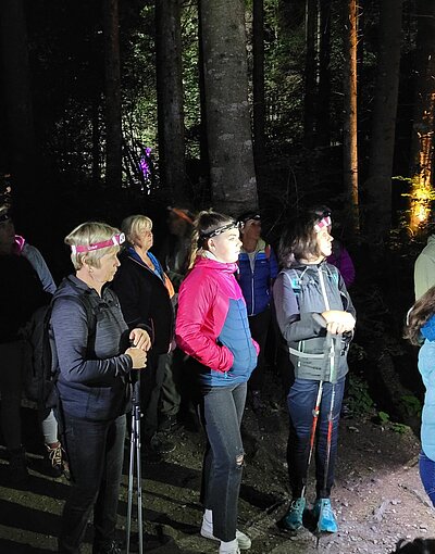 16. Seniorenwanderung der Naturfreunde 2022 - Groppensteinschlucht Obervellach bei Nacht