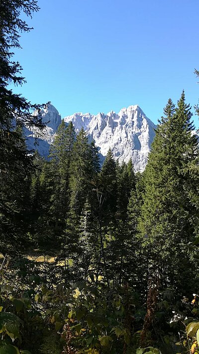 18. Seniorenwanderung der Naturfreunde 2022 - Nemes Alm Rundwanderung