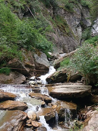 Wanderung der Naturfreunde - Lasnitzenhütte