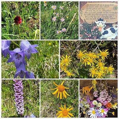 Wanderung der Naturfreunde - Astental und Mohar