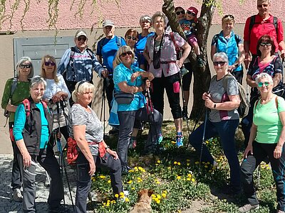 Wanderung der Naturfreunde - Ruine Walchenstein