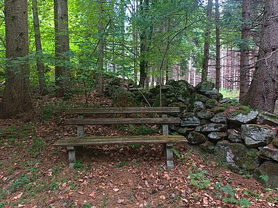 Wanderung der Naturfreunde - Danielsberg