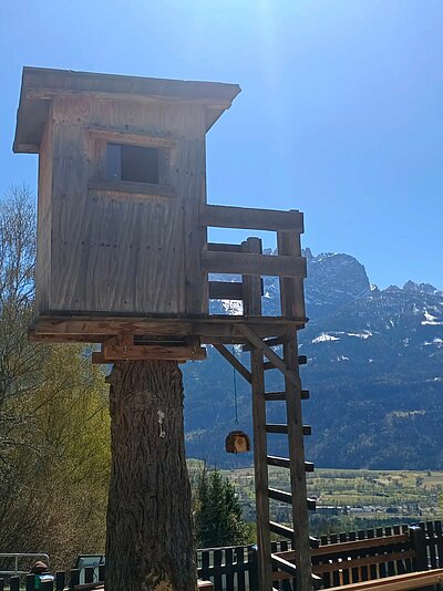 Wanderung der Naturfreunde - Ruine Walchenstein