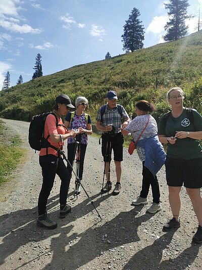 Wanderung der Naturfreunde - Lainacher Kuhalm - Ronahütte