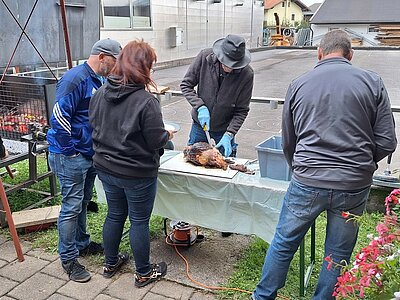 Vereinsmeisterschaft der Stockschützen