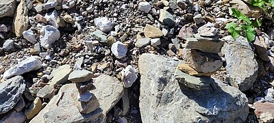 Wanderung der Naturfreunde - Dreischusterhütte