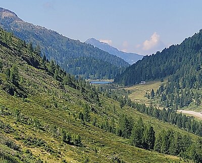Randwanderung der Naturfreunde - HIRSCHBÜHEL-BLINDISALM-ALPE STALLE
