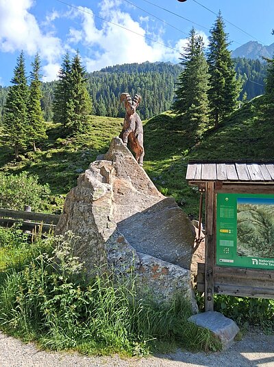 Wanderung der Naturfreunde - Lienzer Hütte