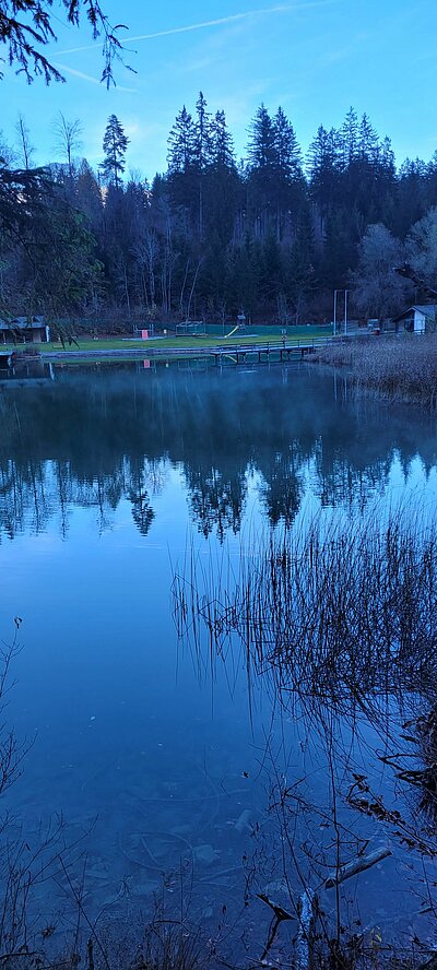 Wanderung der Naturfreunde - Tristachersee und Alter See Runde