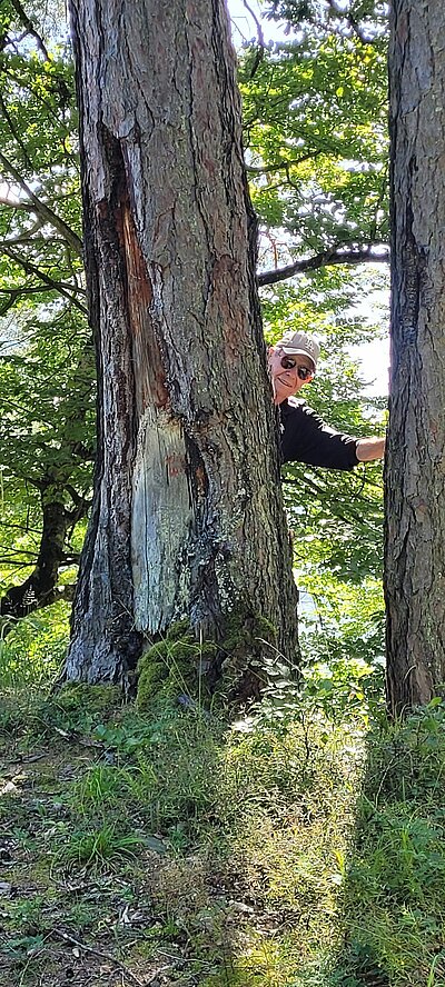 Schattseitenrunde der Naturfreunde