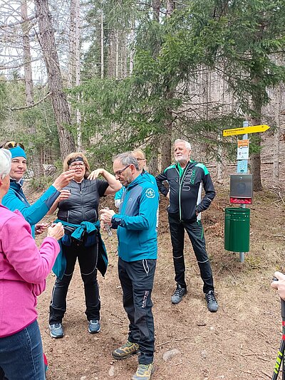 Frühlingswanderung der Naturfreunde am Iselsberg