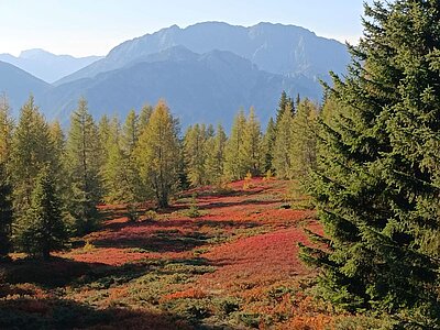 Wanderung der Naturfreunde - Hochstein