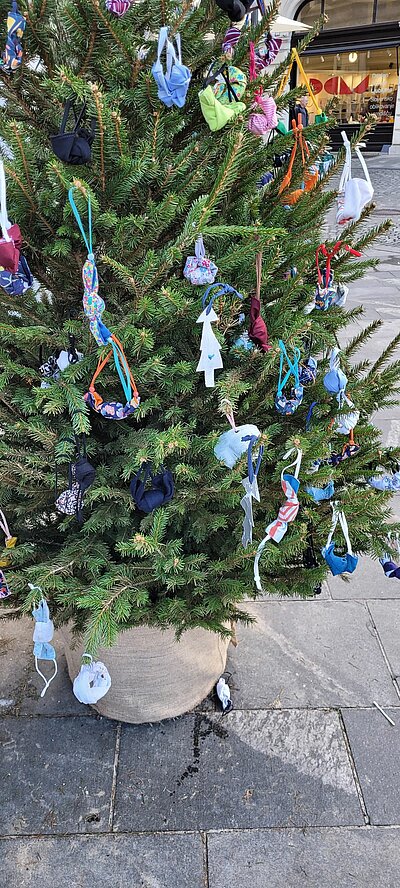 Naturfreunde-Ausflug zum Christkindlmarkt Laibach