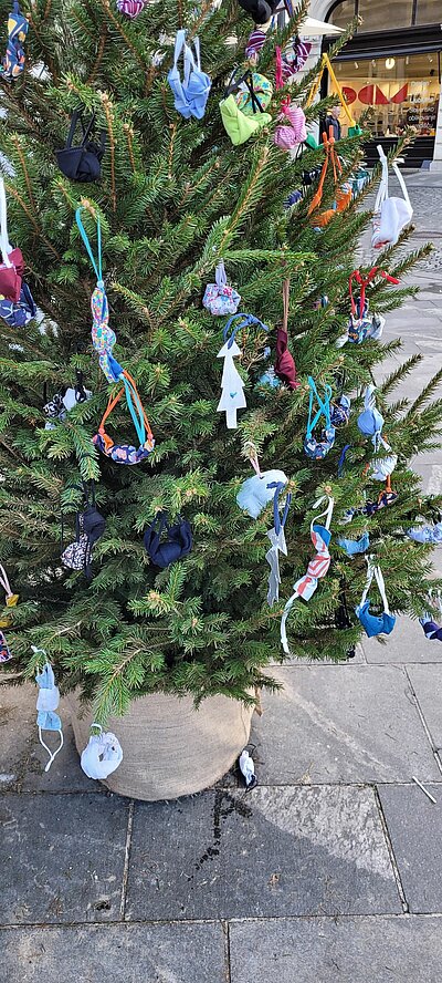 Naturfreunde-Ausflug zum Christkindlmarkt Laibach