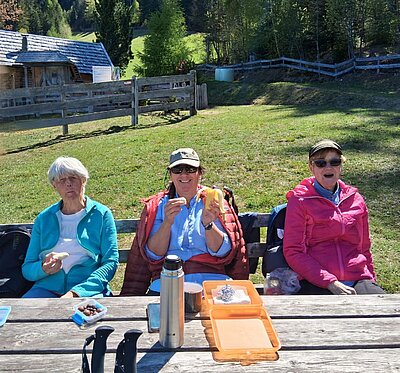 Wanderung der Naturfreunde - Speicherteich Moosalm