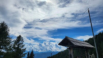 Wanderung der Naturfreunde - Leppner Alm