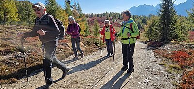 Wanderung der Naturfreunde - Hochstein