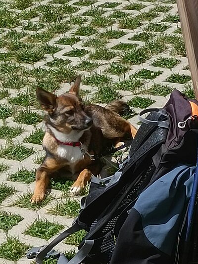 Wanderung der Naturfreunde - Stanitzkopf und/oder Obere Zraunighütte