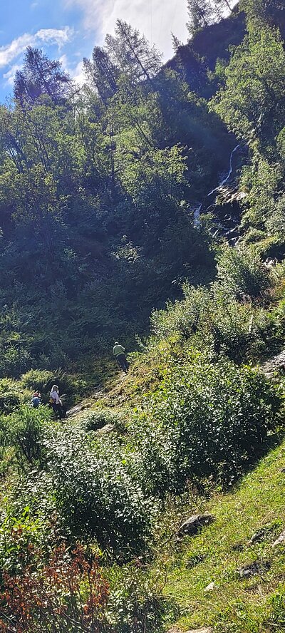 16. Seniorenwanderung der Naturfreunde - Hochweißsteinhaus